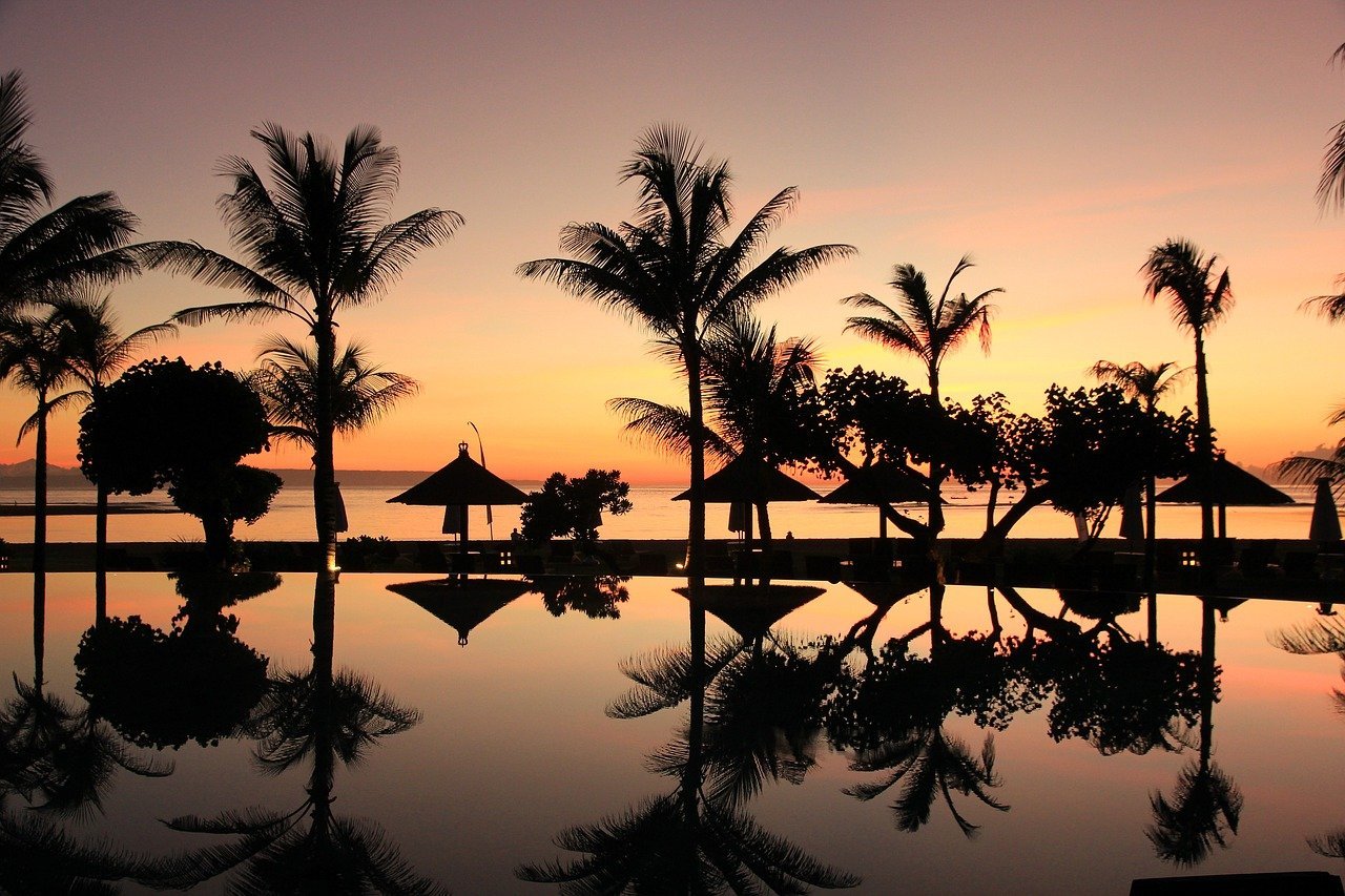 Enjoy the beauty of the sunset in Bali with the captivating backdrop of palm trees. The perfect tropical atmosphere to relax your soul!